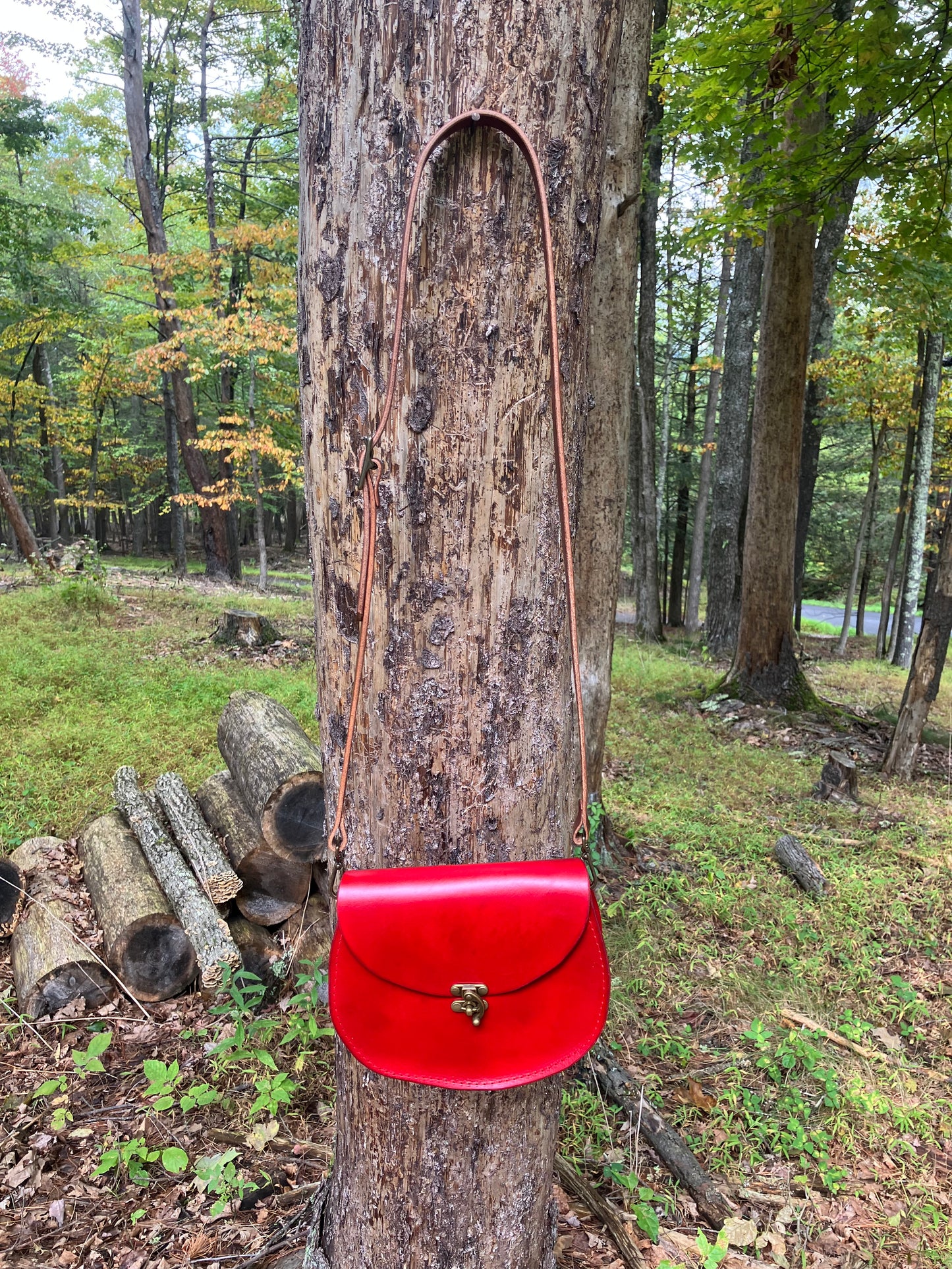 crossbody, the Sarah, red leather