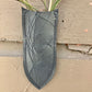 a wilder leather handcrafted leather air vase is perfect for dried flowers or other things you wish to suspend on the wall. 